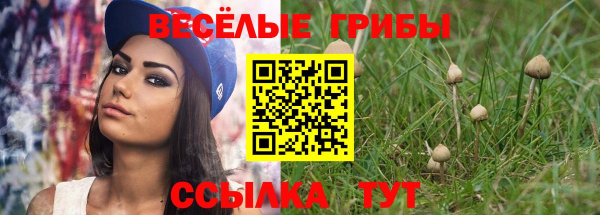 Галлюциногенные грибы Cubensis Хабаровск